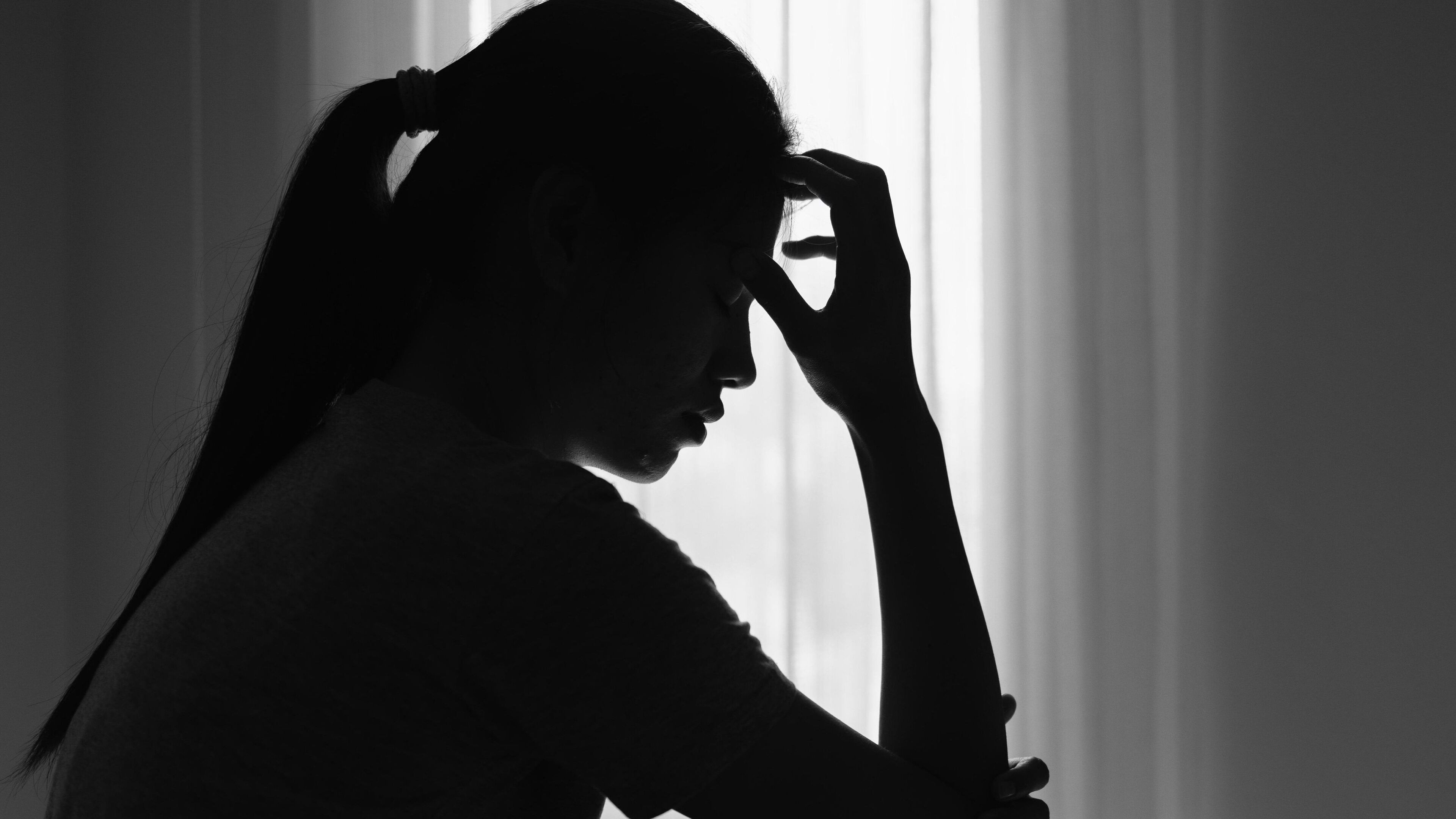 No domestic abuse refuge in Laois amid ‘epidemic of abuse and violence’, Tánaiste hears